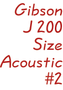 J 200 Acoustic